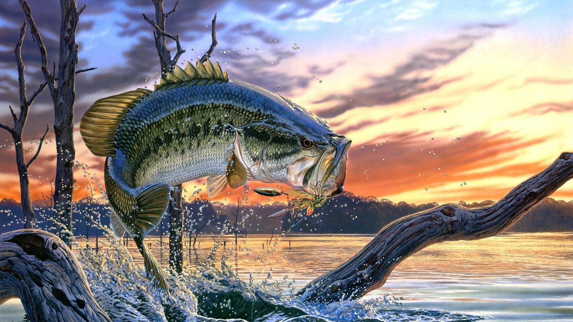 Illustration of Lake Masters Pro Dreamcast Plus!