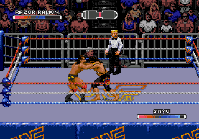 Illustration of WWF Rage in the Cage