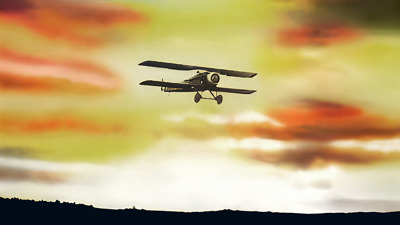 Wings - Fanart - Background (World) - 1920x1080