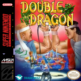 Double Dragon - Box - Front (North America) - 1418x1418