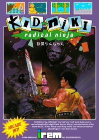 Kid Niki: Radical Ninja - Fanart - Box - Front (World) - 1465x2060