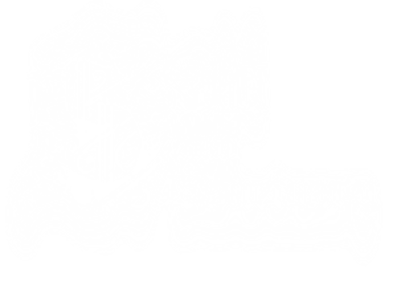 Salt and Sanctuary - Clear Logo (World) - 297x212
