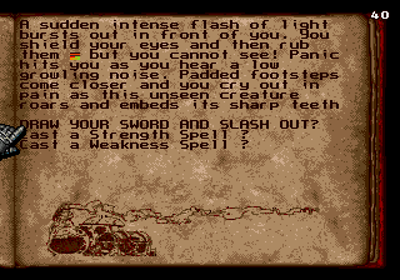 The Citadel of Chaos - Screenshot - Gameplay (World) - 320x224