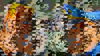 General Chaos - Fanart - Background (World) - 1280x720