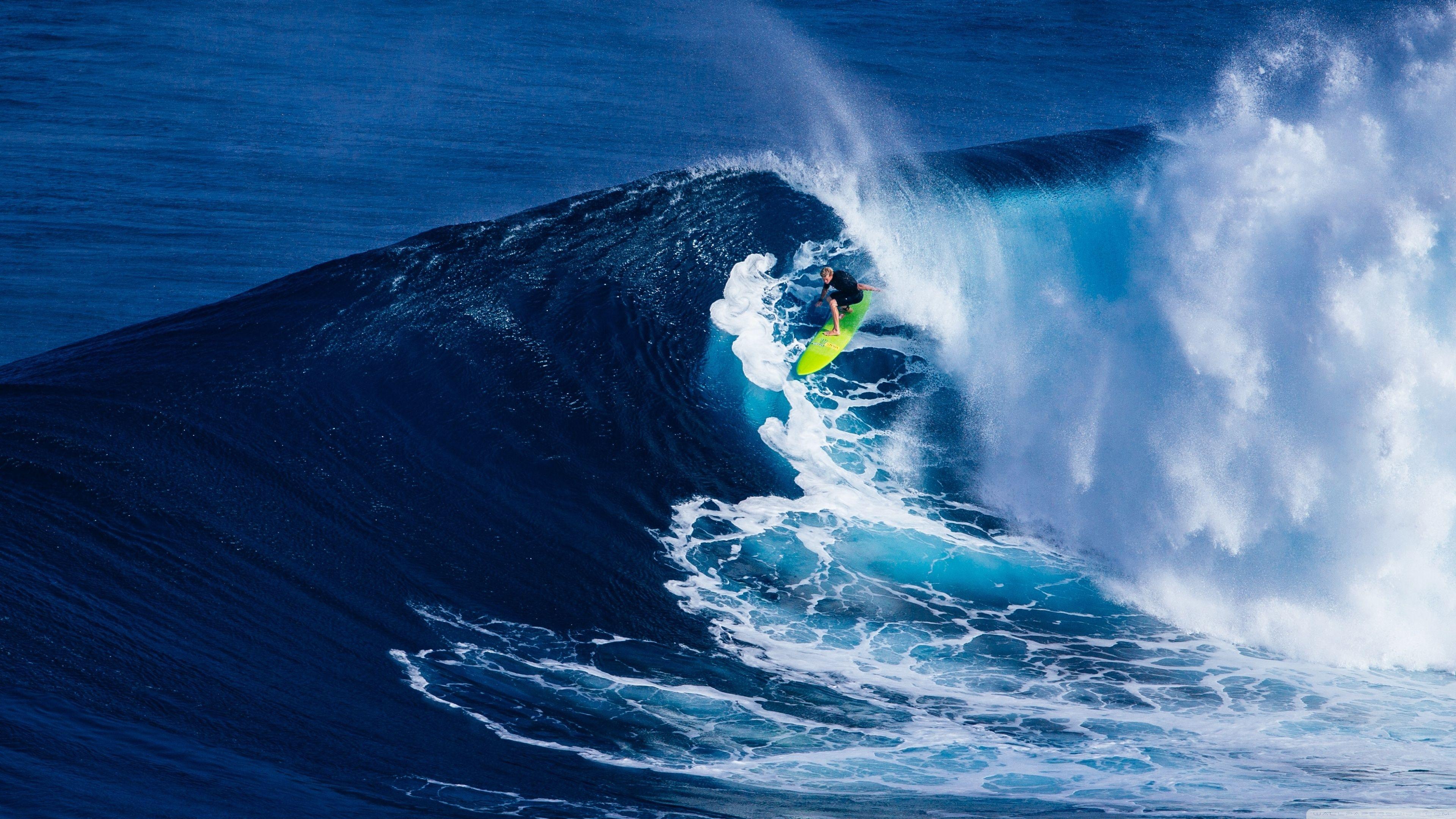 Illustration of Championship Surfer