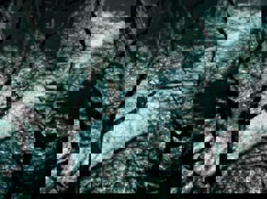 Blair Witch Volume I: Rustin Parr - Screenshot - Gameplay (North America) - 791x590