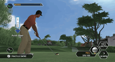 Illustration of Tiger Woods PGA Tour 08