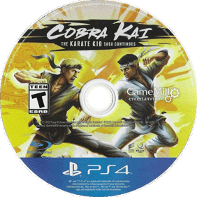 Cobra Kai: The Karate Kid Saga Continues - Disc (North America) - 757x753
