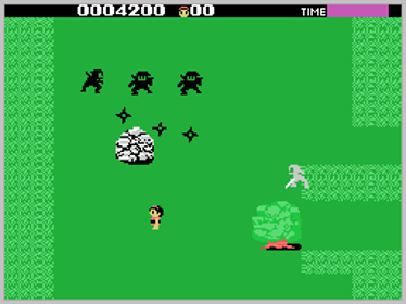 Ninja Princess  - Screenshot - Gameplay (World) - 256x192