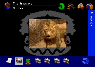 The San Diego Zoo Presents... The Animals! A True Multimedia Experience - Screenshot - Gameplay (World) - 640x448