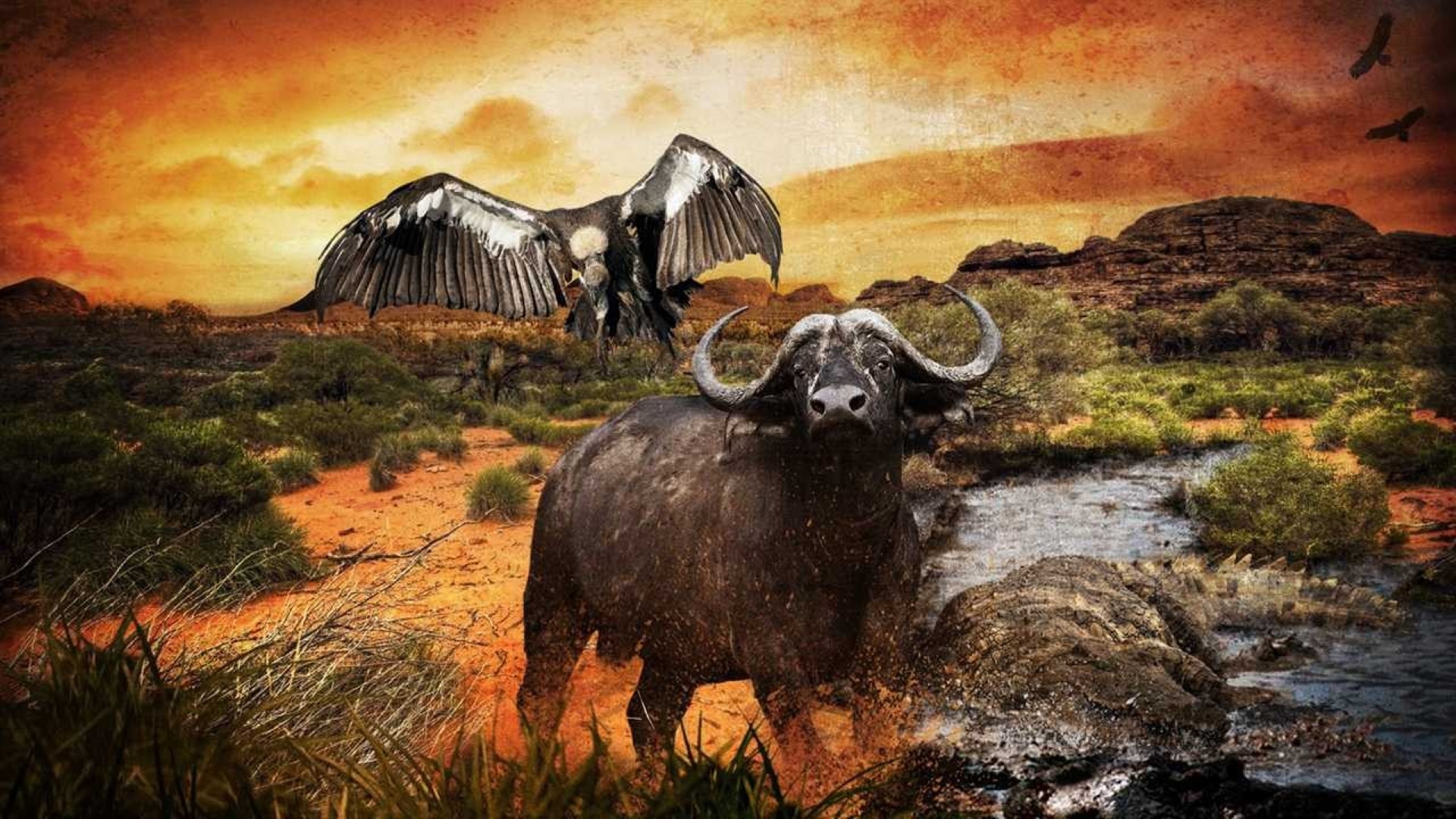 Illustration of Hunter's Trophy 2: Australia