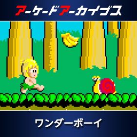 Arcade Archives: Wonder Boy - Square (Japan) - 800x800