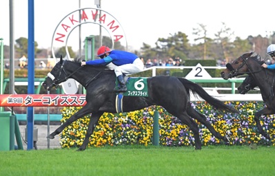 Derby Tsuku: Derby Uma o Tsukurou! - Fanart - Background (World) - 1685x1080