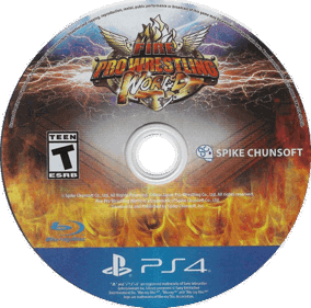 Fire Pro Wrestling World - Disc (North America) - 744x736