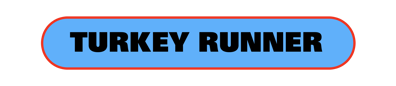 Turkey Runner - Clear Logo (World) - 2400x521