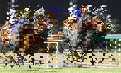 Illustration of Derby Analyst