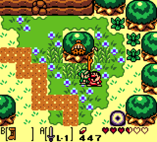The Legend of Zelda: Link's Awakening DX - Screenshot - Gameplay (World) - 2560x2304