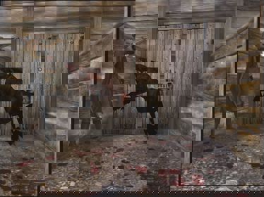 Blair Witch Volume III: The Elly Kedward Tale - Screenshot - Gameplay (North America) - 1024x768