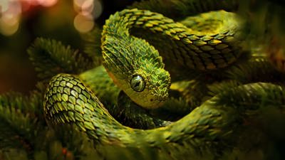 Slither - Fanart - Background (World) - 1920x1080