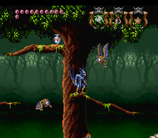 Demon's Crest - Screenshot - Gameplay (World) - 256x224