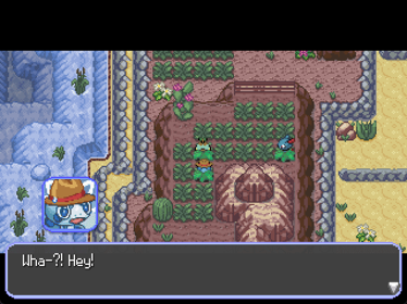 Pokémon: A Star in the Desert - Screenshot - Gameplay (World) - 640x480
