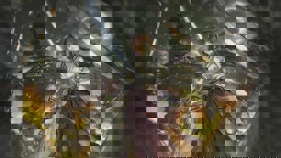 Queen's Blade: Spiral Chaos - Fanart - Background (World) - 1920x1080