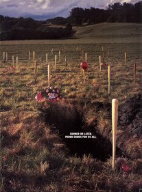 World Series Baseball 2K1 - Advertisement Flyer - Front (United States) - 1622x2200