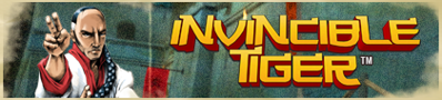 Invincible Tiger: The Legend of Han Tao - Banner (World) - 420x95