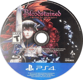 Bloodstained: Ritual of the Night - Disc (North America) - 1145x1113