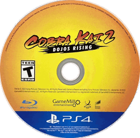 Cobra Kai 2: Dojos Rising - Disc (North America) - 1253x1233