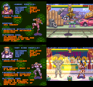 Teenage Mutant Ninja Turtles: Tournament Fighters Grandmasters Edition - Screenshot - Gameplay (World) - 512x478