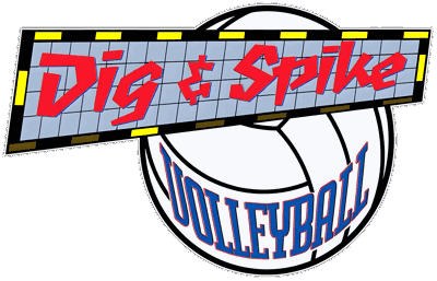 Dig & Spike Volleyball - Clear Logo (North America) - 4500x2893