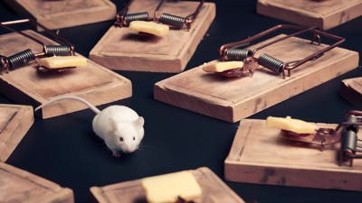 Mouse Trap - Fanart - Background (World) - 1920x1080