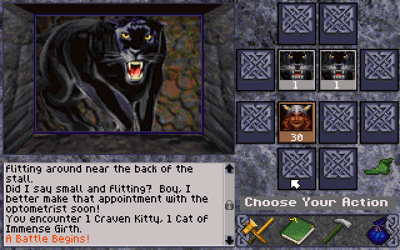 Ruins of Cawdor - Screenshot - Gameplay (World) - 640x400