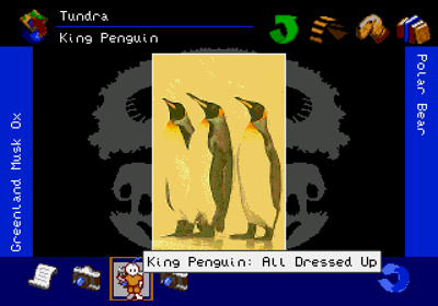 The San Diego Zoo Presents... The Animals! A True Multimedia Experience - Screenshot - Gameplay (World) - 640x448
