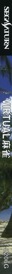 Virtual Mahjong - Box - Spine (Japan) - 60x1370