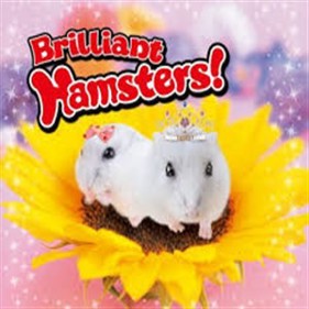 Brilliant Hamsters!  - Square (World) - 300x300