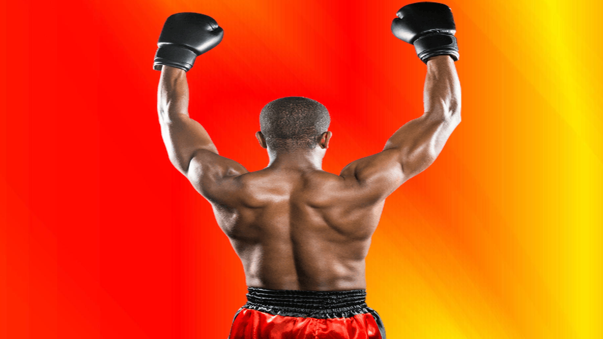 Illustration of Showtime Championship Boxing