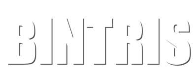 Bintris - Clear Logo (World) - 2049x767