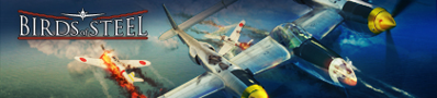 Birds of Steel - Banner (World) - 420x95