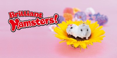 Brilliant Hamsters!  - Banner (World) - 1600x800