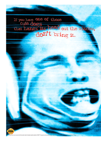 Solar Eclipse - Advertisement Flyer - Front (North America) - 1561x2200
