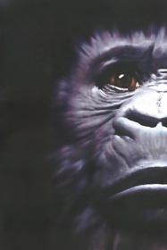Congo The Movie: The Lost City of Zinj - Poster (North America) - 708x1062