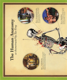 Tao Feng: Fist of the Lotus - Advertisement Flyer - Front (United States) - 1842x2200