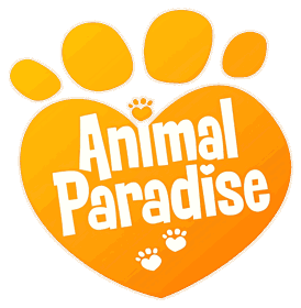 Animal Paradise - Clear Logo (World) - 1200x1228