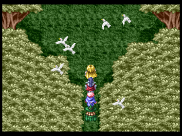 RPG Maker - Screenshot - Gameplay (World) - 640x480