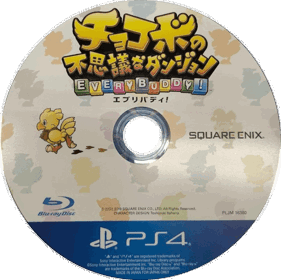 Chocobo's Mystery Dungeon: EVERY BUDDY! - Disc (Japan) - 763x761