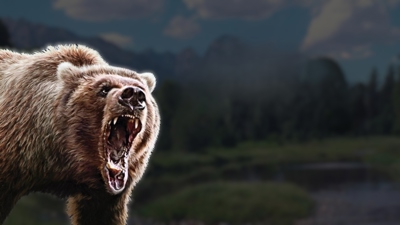 Cabela's Big Game Hunter 2010 - Fanart - Background (World) - 1920x1080