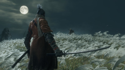 Sekiro: Shadows Die Twice - Screenshot - Gameplay (World) - 2560x1440