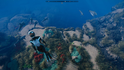 Beyond Blue - Screenshot - Gameplay (World) - 1920x1080